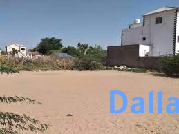 DHUL IIB AH